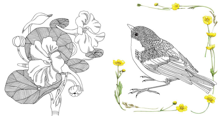 Magical Nature Coloring Pages by Marjolein  Bastin