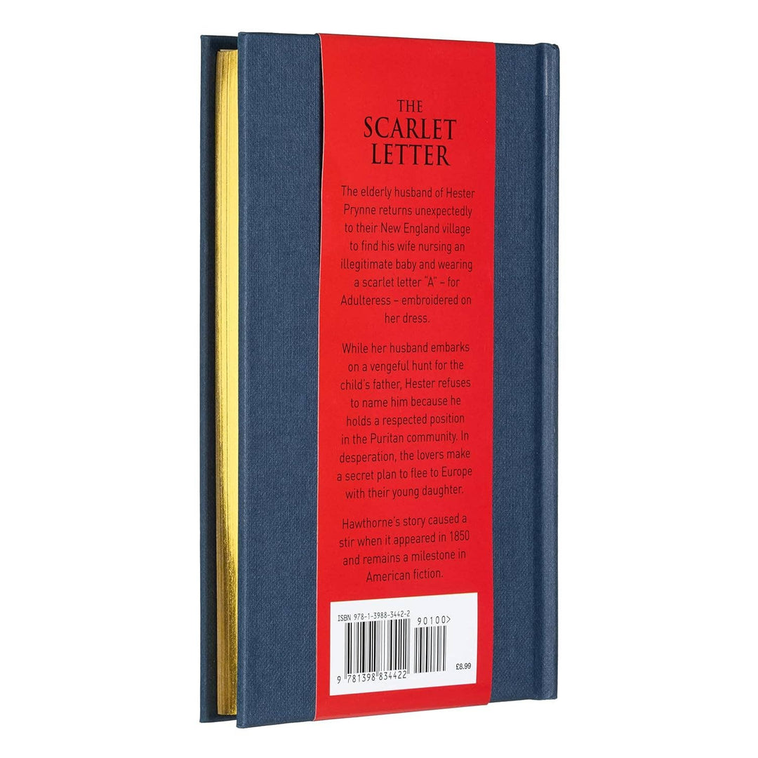 Scarlet Letter (Arcturus Ornate Classics)