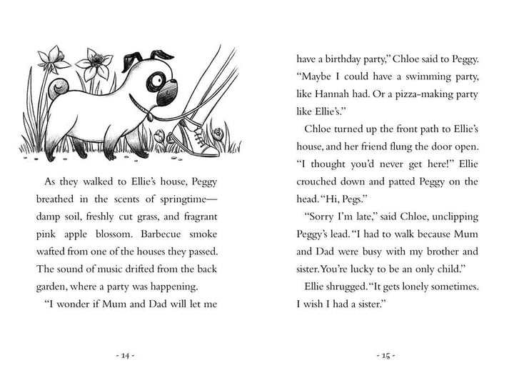 The Pug Who Wanted to Be a Bunny by Bella Swift (Paperback)