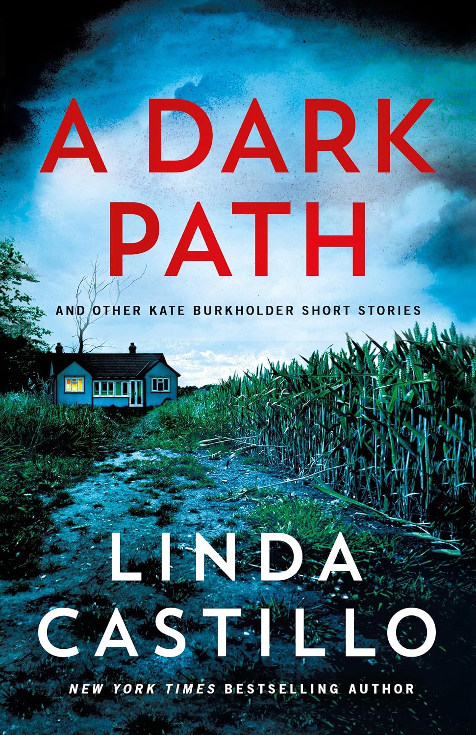 A Dark Path: And Other Kate Burkholder Short Stories (Hardcover) by Linda Castillo