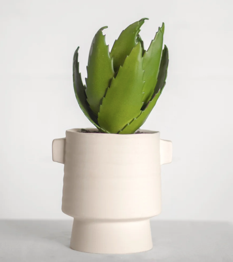 11" Agave in Ceramic Pot