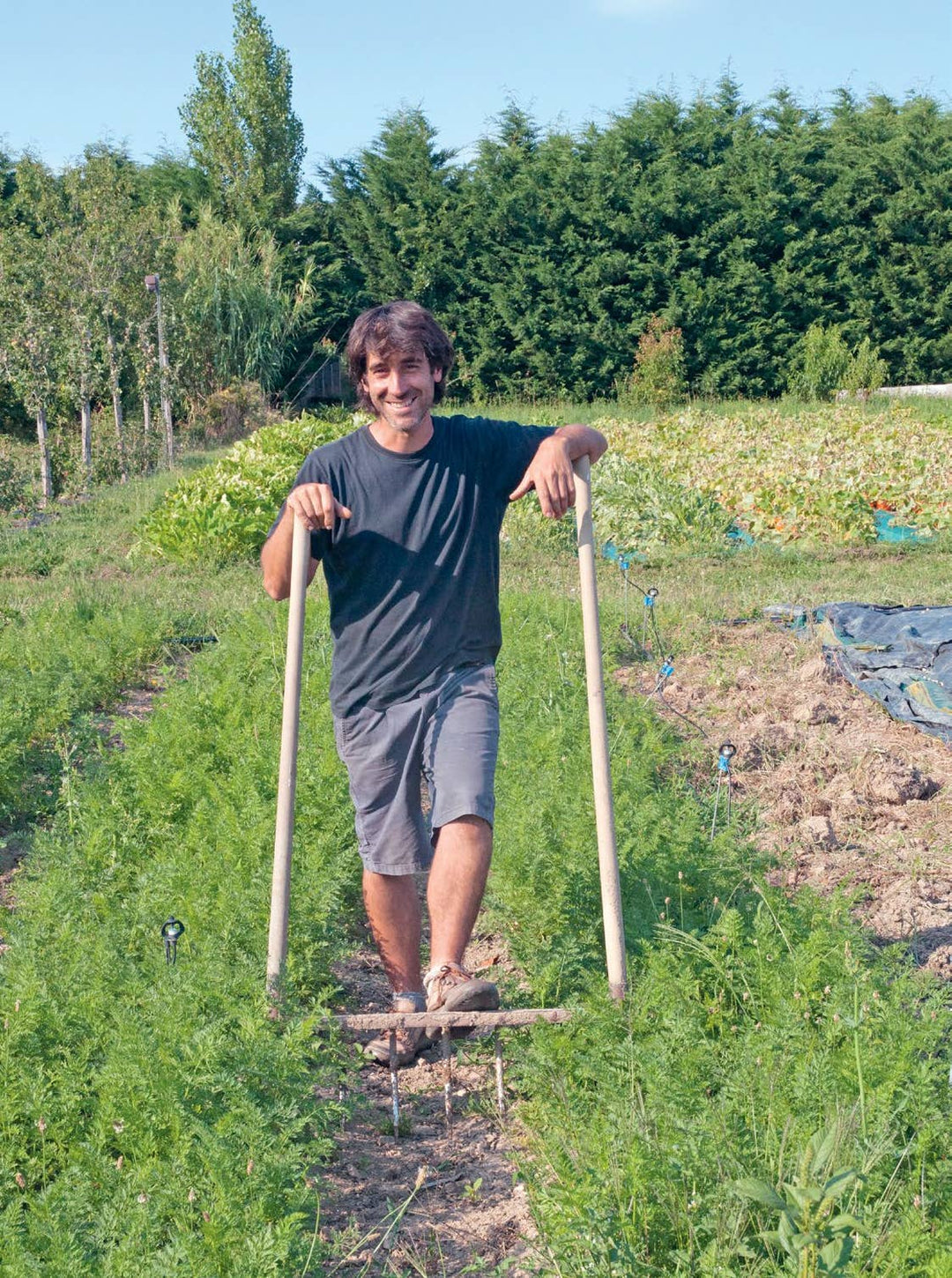 Microfarms