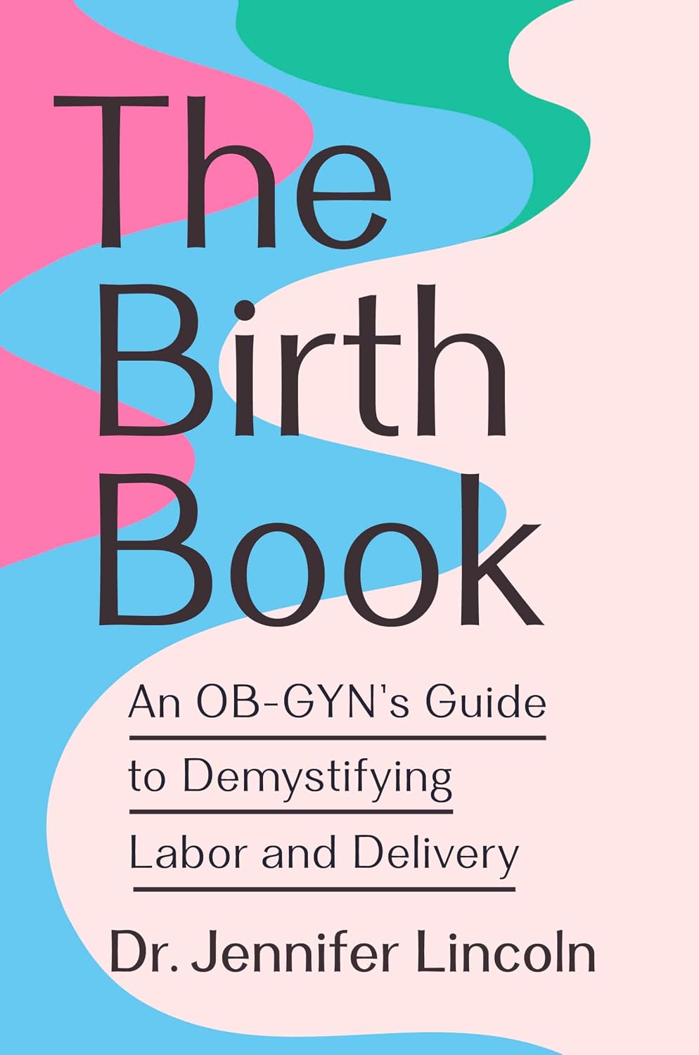 The Birth Book: An OB-GYN's Guide to Demystifying Labor and Delivery (Paperback) by Dr. Jennifer Lincoln