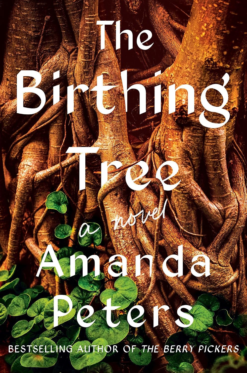 The Birthing Tree (Hardcover) by Amanda Peters