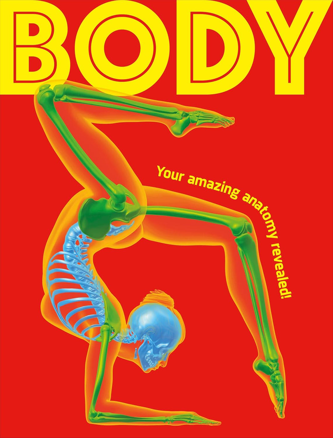 Body: Your Amazing Anatomy Revealed (Hardcover) by Rachel Delahaye, Arran Lewis
