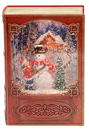 Book Snow Globe w/LED
