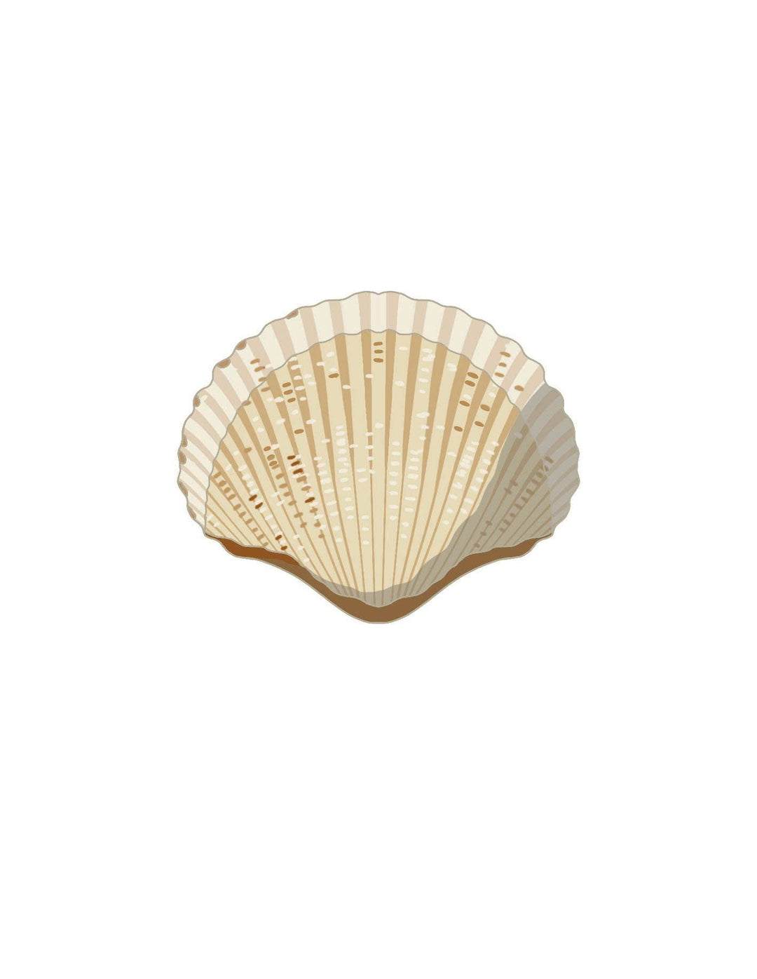 Shells
