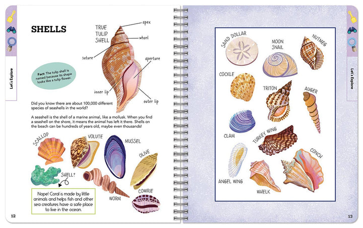 Outdoor Explorers: Hit the Beach! (Coastal Activity Journal)