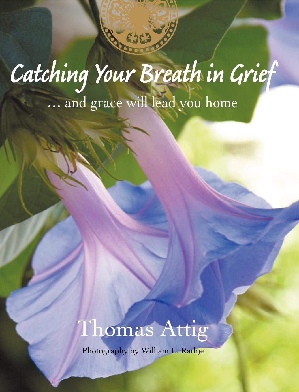 Catching Your Breath in Grief (paperback) by Thomas Attig
