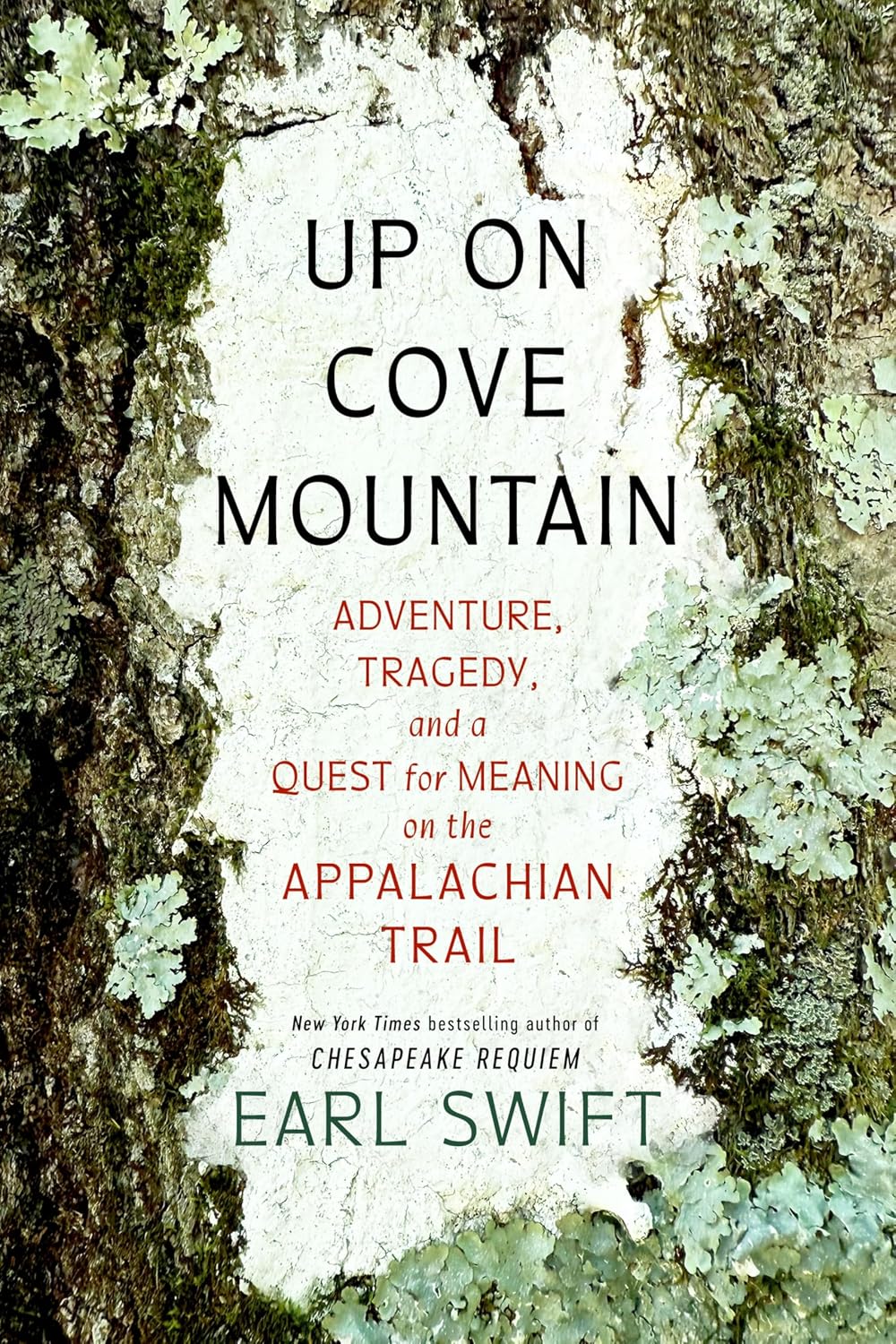 Up On Cove Mountain (Hardcover) by Early Swift
