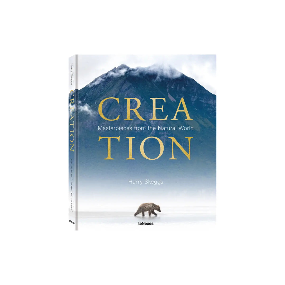 Creation (Oversize Book) by Harry Skeggs