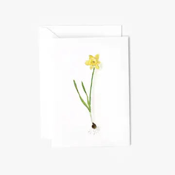 Mini Notecard - Various Styles