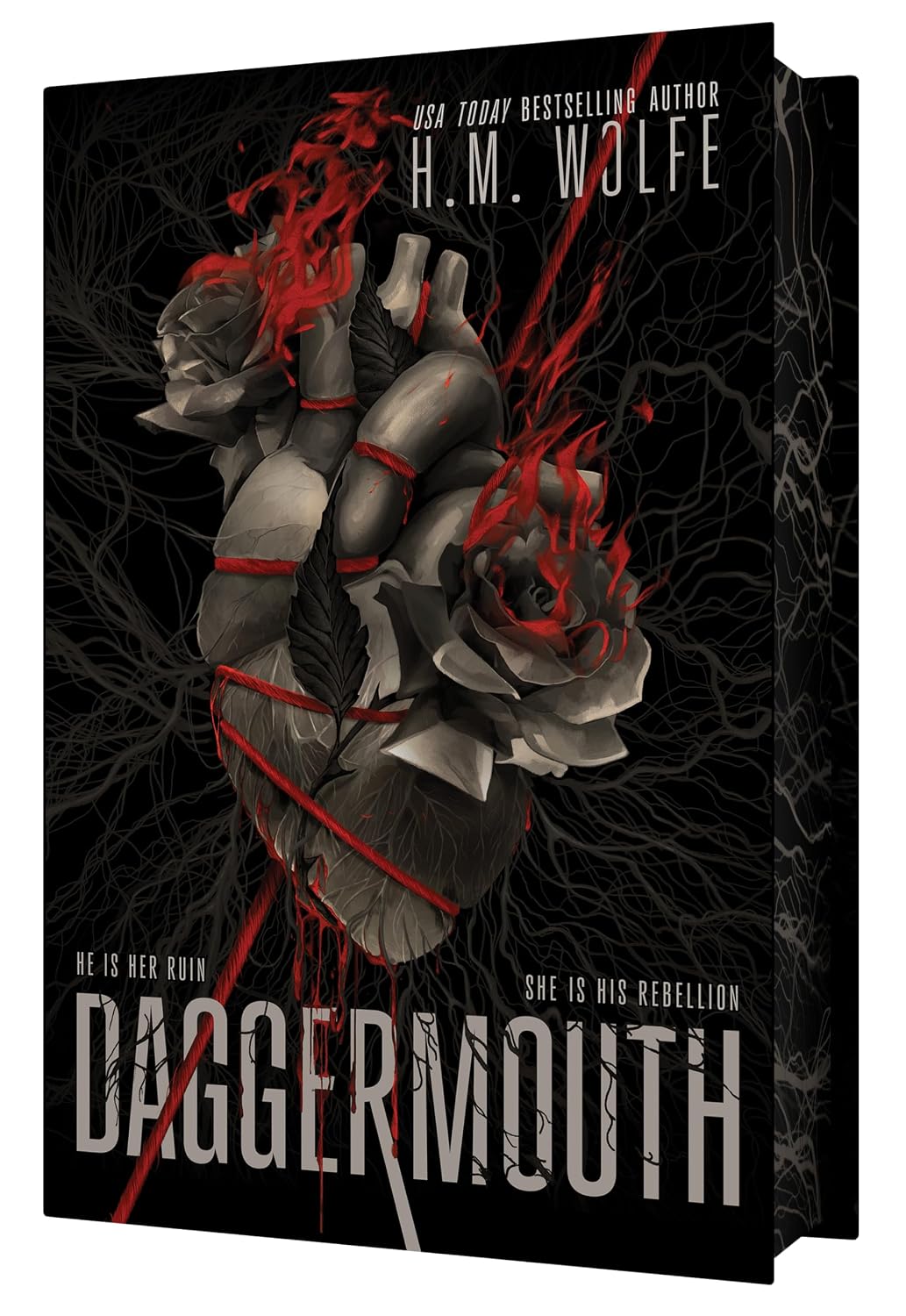 Daggermouth (Deluxe Edition, Hardcover) by H.M. Wolfe