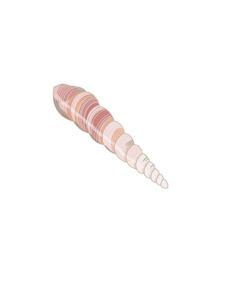 Shells