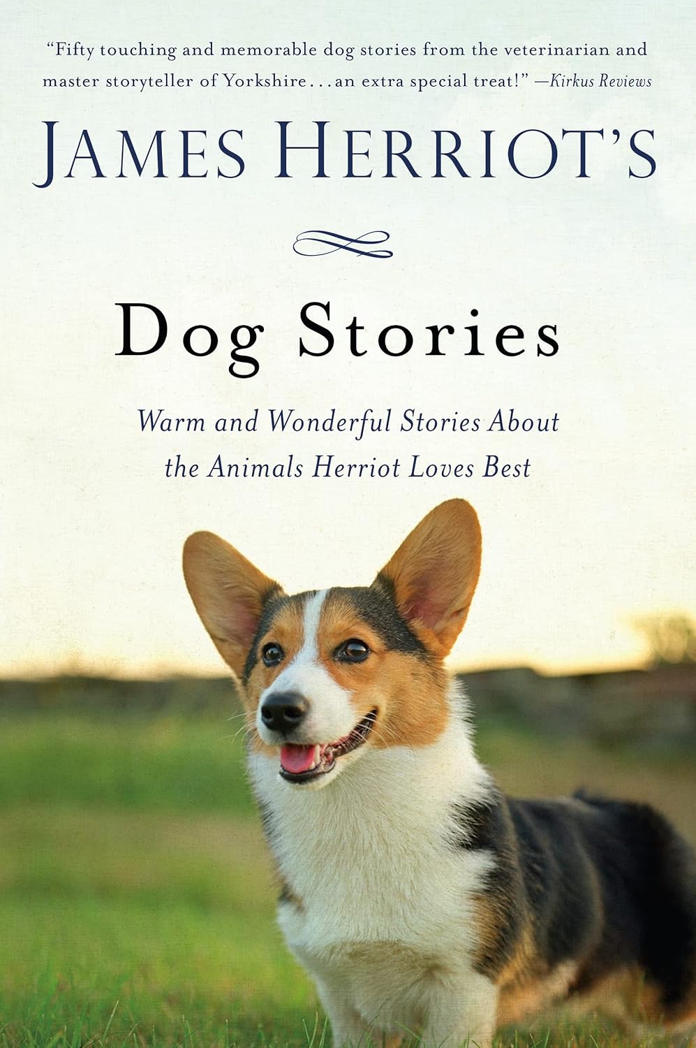 James Herriot's Dog Stories (paperback)