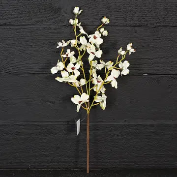 Dogwood Bush Pick