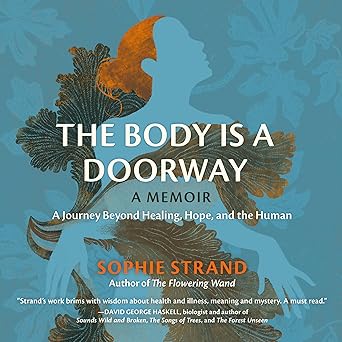 The Body is a Doorway by Sophie Strand