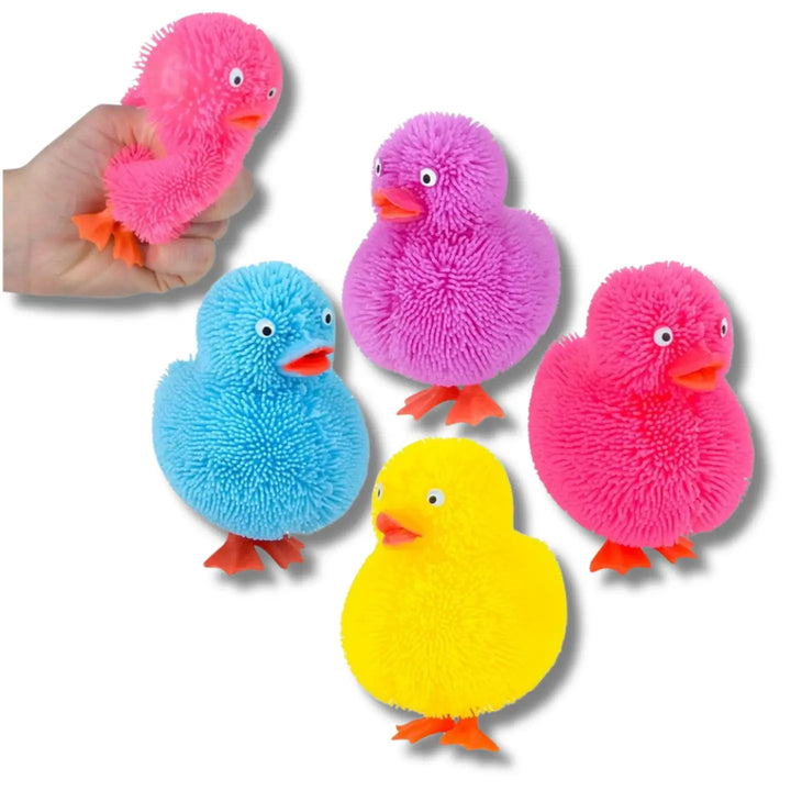 Squishy Toys- Assorted Varieties