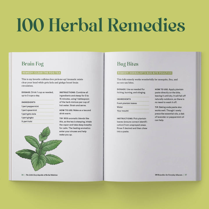 The Little Encyclopedia Of Herbal Medicine