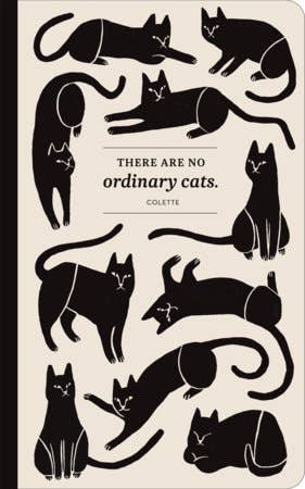 Write Now Journal - There are no ordinary cats