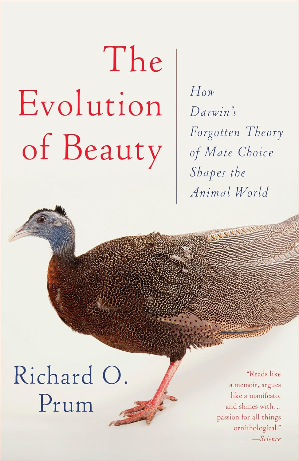 The Evolution of Beauty: How Darwin's Forgotten Theory of Mate Choice Shapes the Animal World - and Us by Richard O. Prum (Paperback)