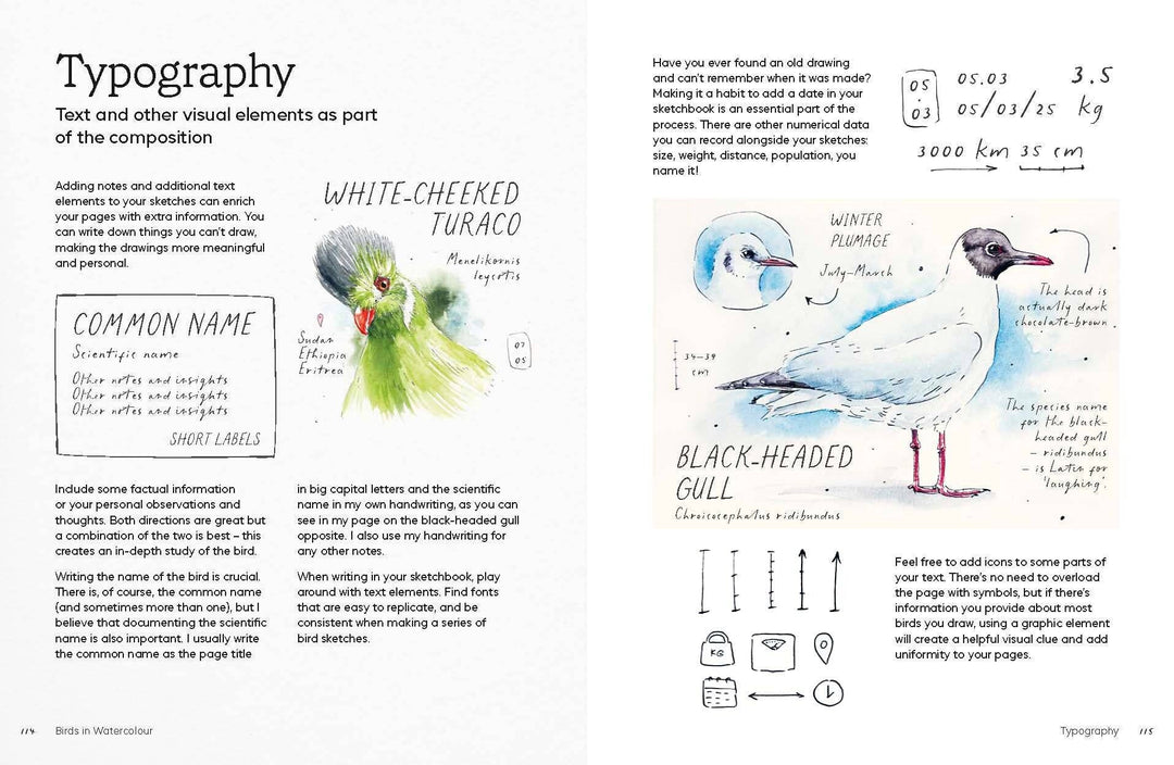 Birds in Watercolour