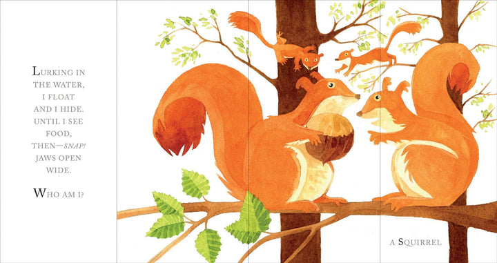 Whose Tail?