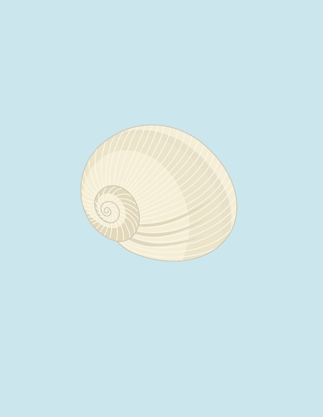 Shells