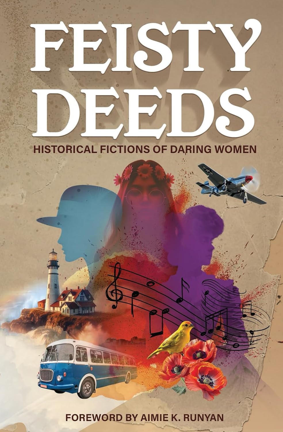 Feisty Deeds: Historical Fictions of Daring Women (Paperback)