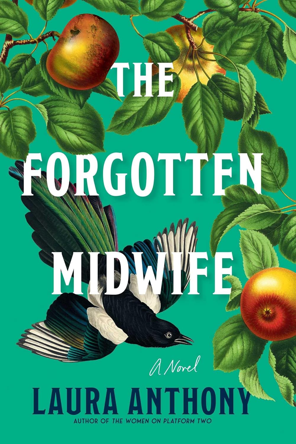 The Forgotten Midwife (Hardcover) by Laura Anthony
