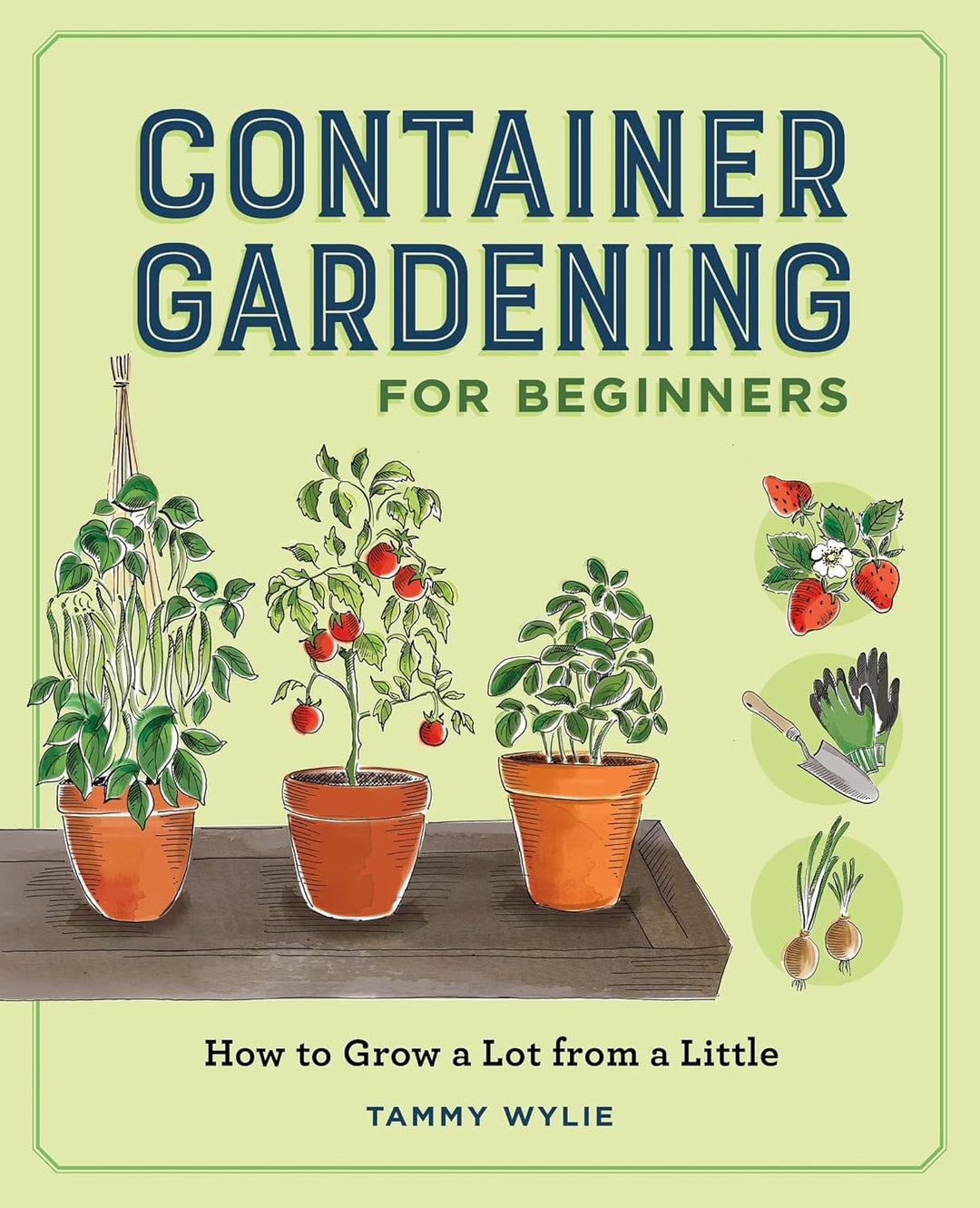 Container Gardening for Beginners by Tammy Wylie (paperback)