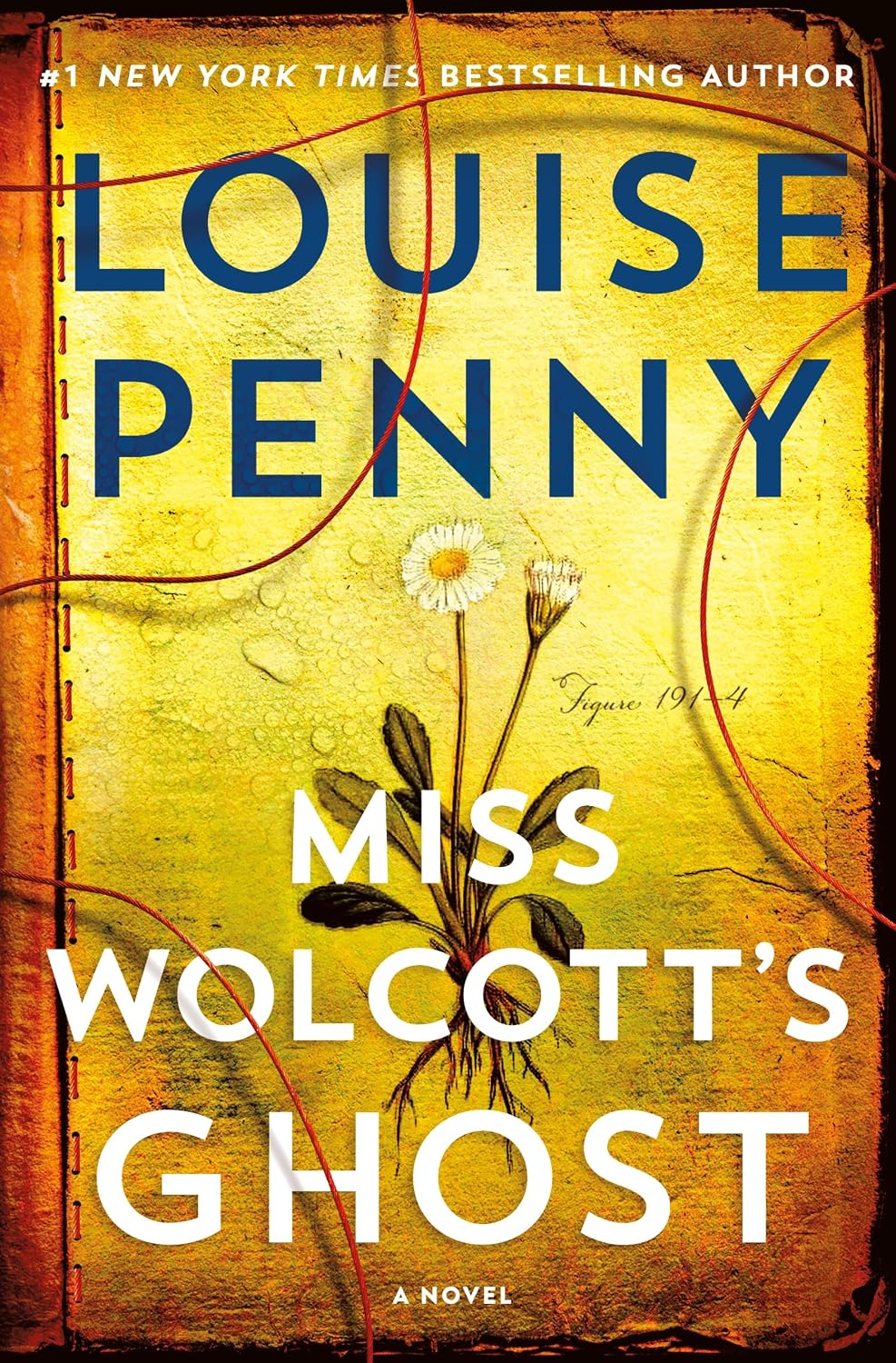Miss Wolcott's Ghost (Hardcover) by Louise Penny