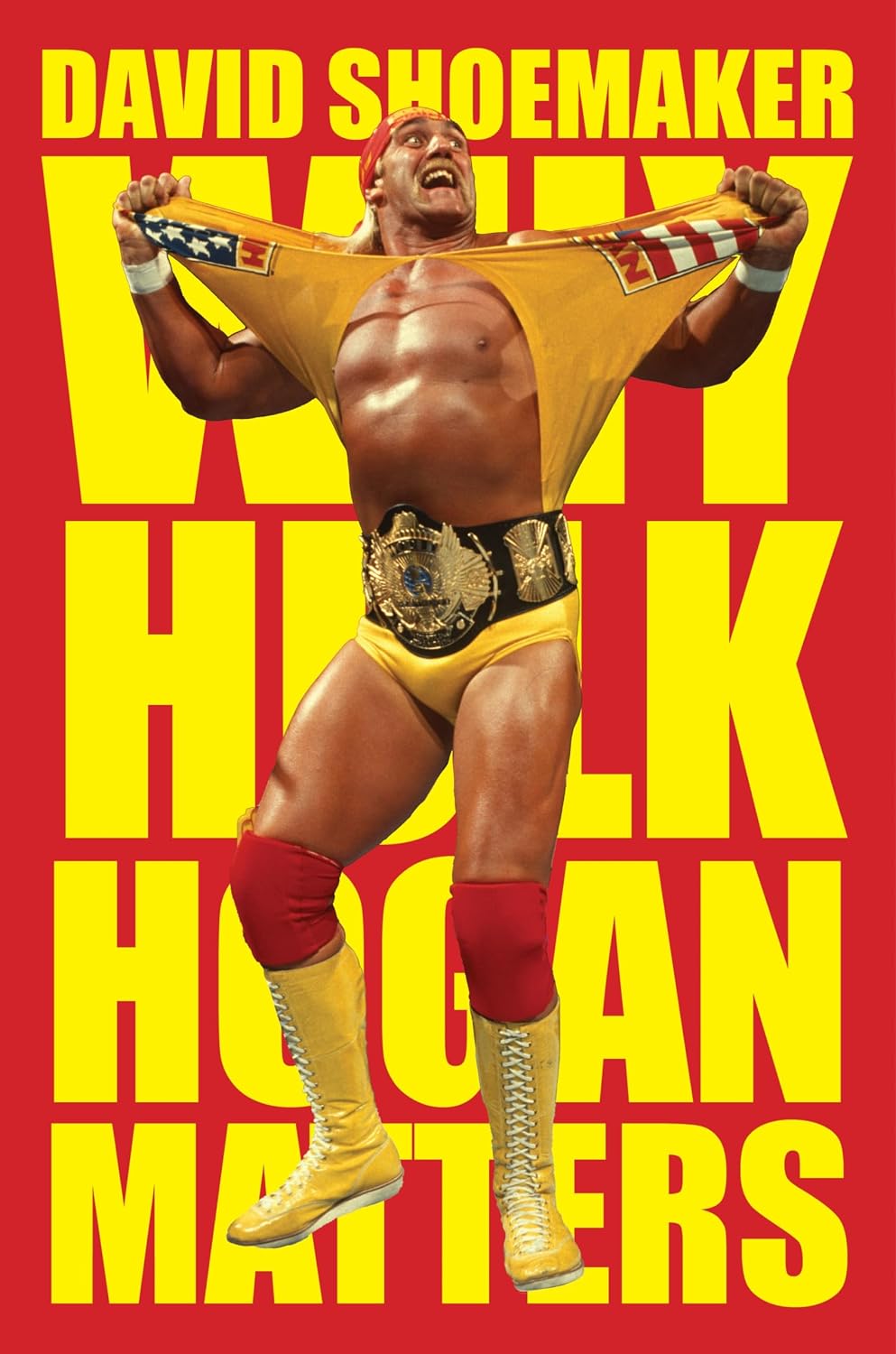 Why Hulk Hogan Matters (Hardcover) by David Shoemaker