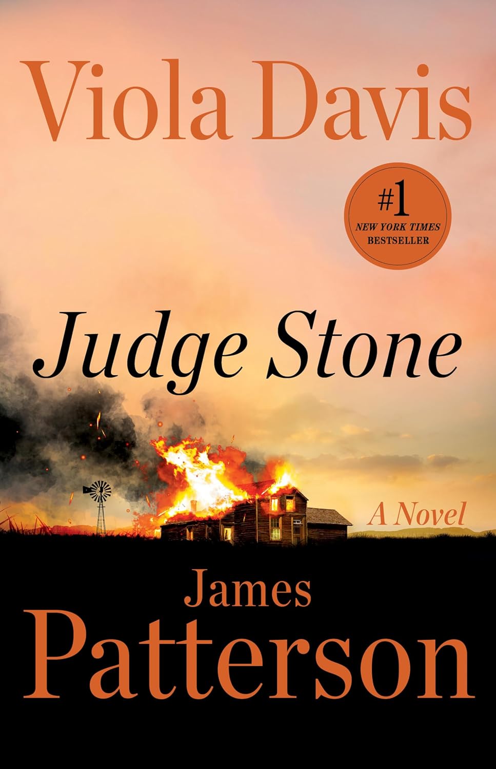 Judge Stone by Viola Davis and James Patterson (Hardcover)