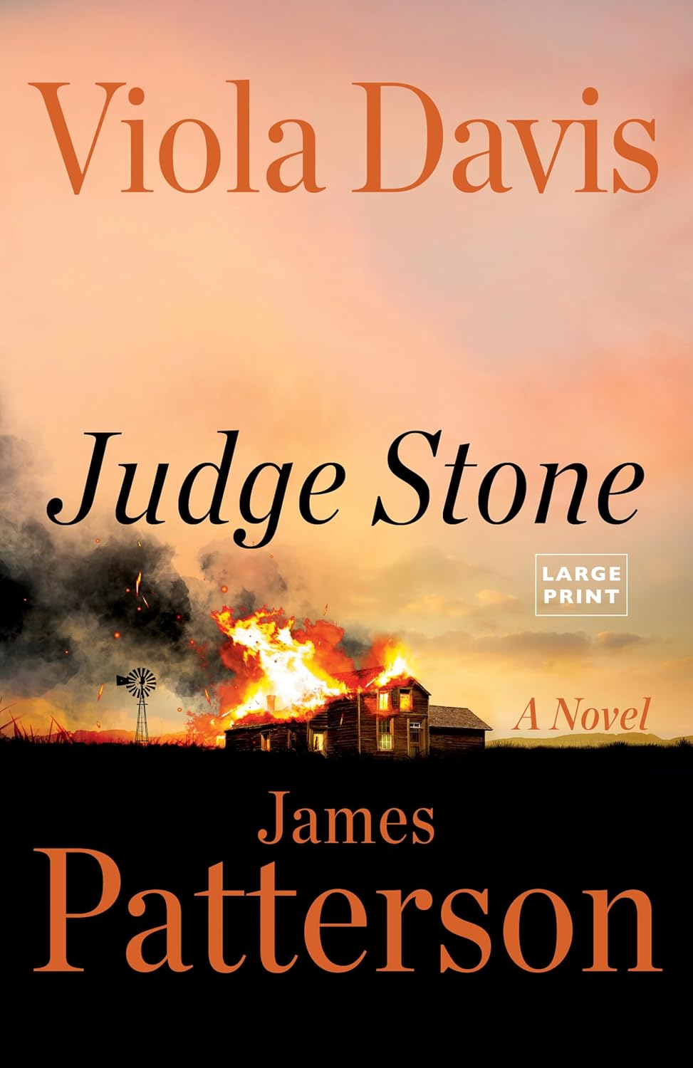 Judge Stone by Viola Davis and James Patterson (Large Print, Paperback)