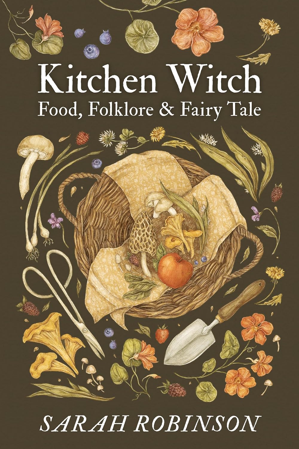 Kitchen Witch: Food, Folklore, & Fairy Tale by Sarah Robinson (Paperback)