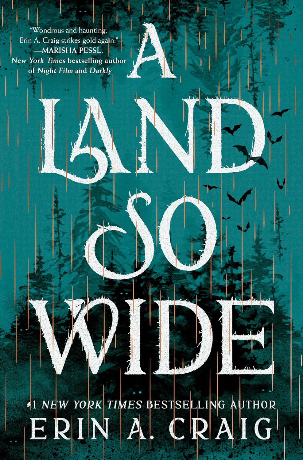 A Land So Wide (paperback) by Erin A. Craig