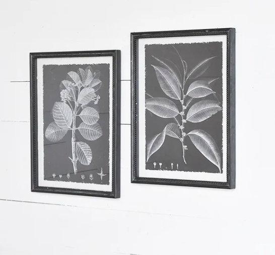 Black and White Botanical Wall Decor