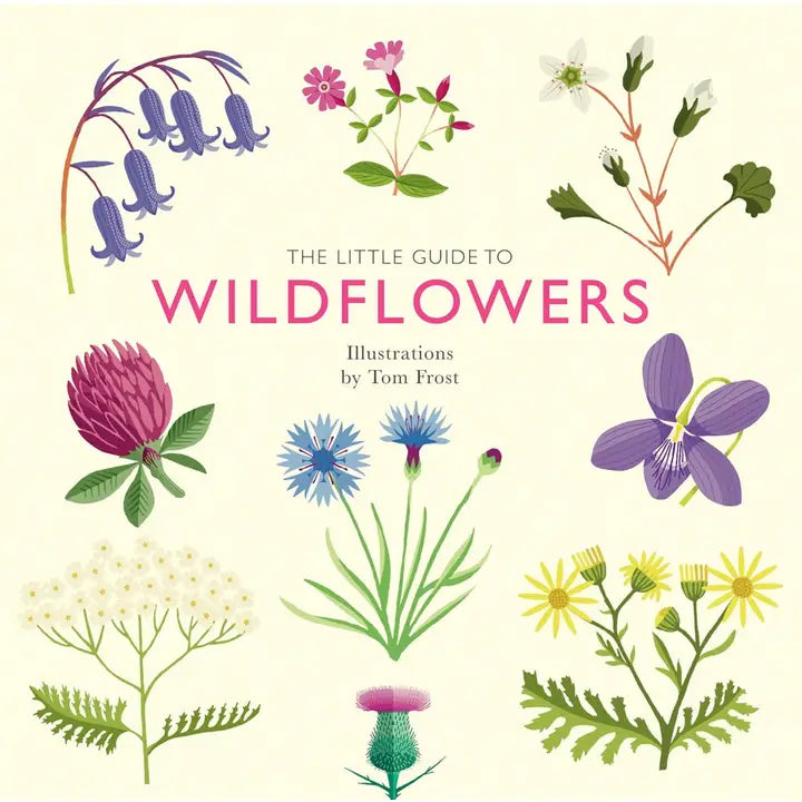 Little Guide to Wildflowers illustrated by Tom Frost