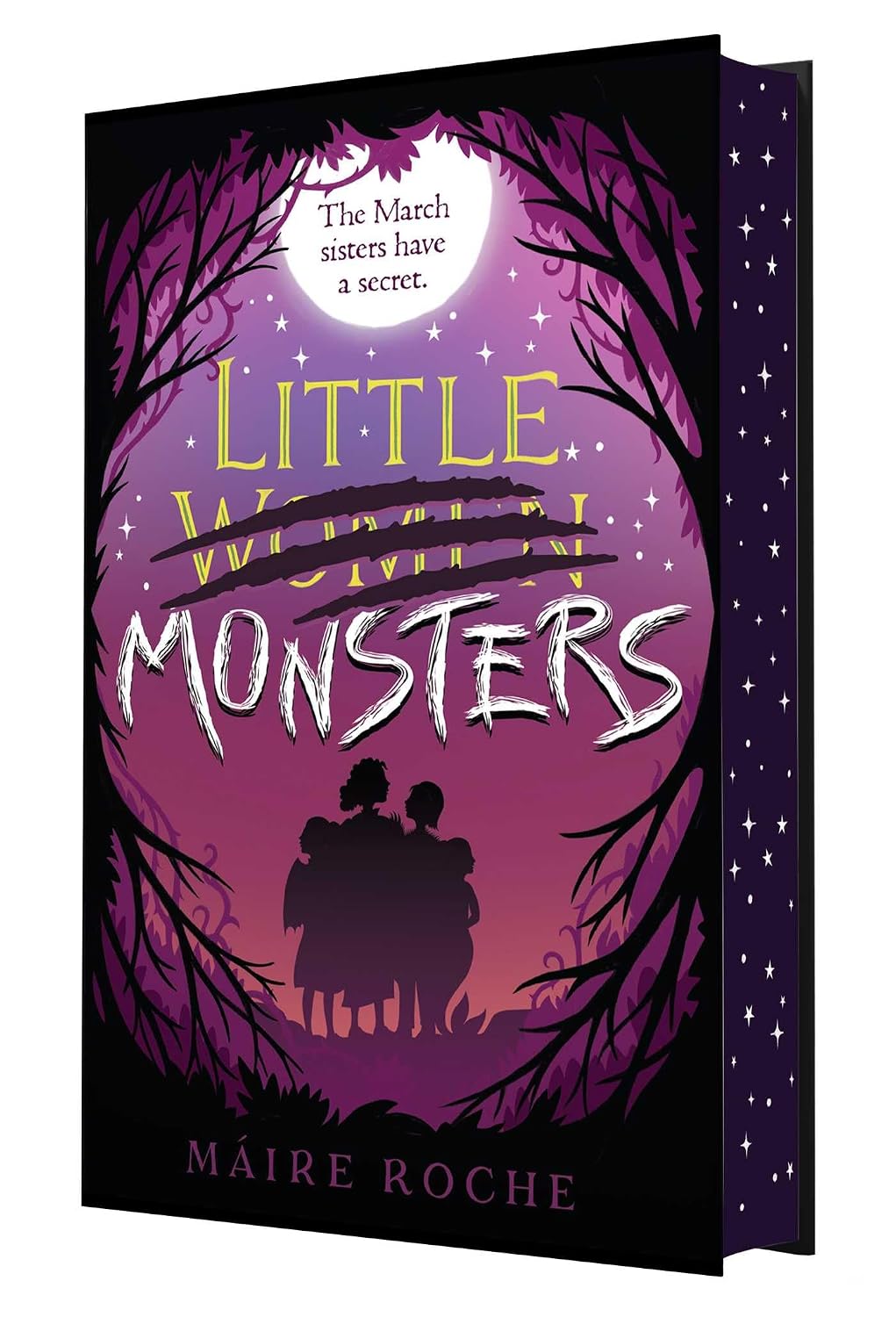 Little Monsters (Special Edition, Hardcover) by Maire Roche