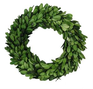 Mini Boxwood Wreath on Grapevine 8"