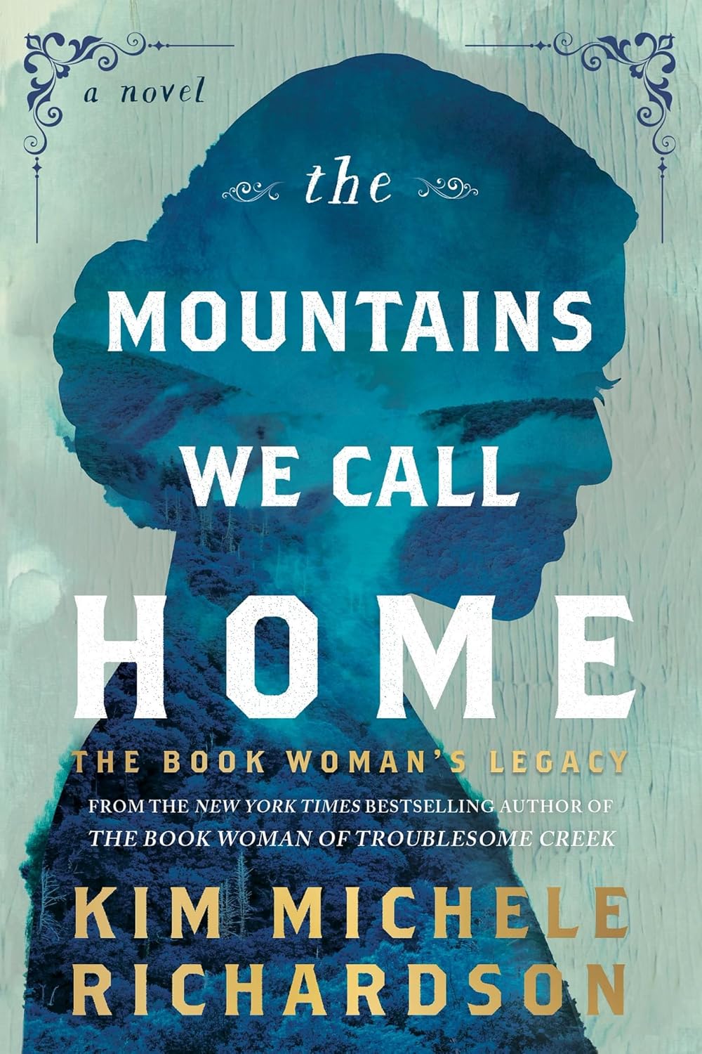 The Mountains We Call Home by Kim Michelle Richardson (hardcover)