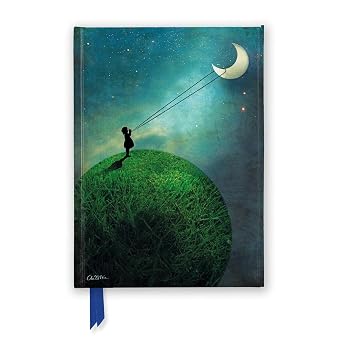 Catrin Welz-Stein: Chasing the Moon (Foiled Journal) (Flame Tree Notebooks)