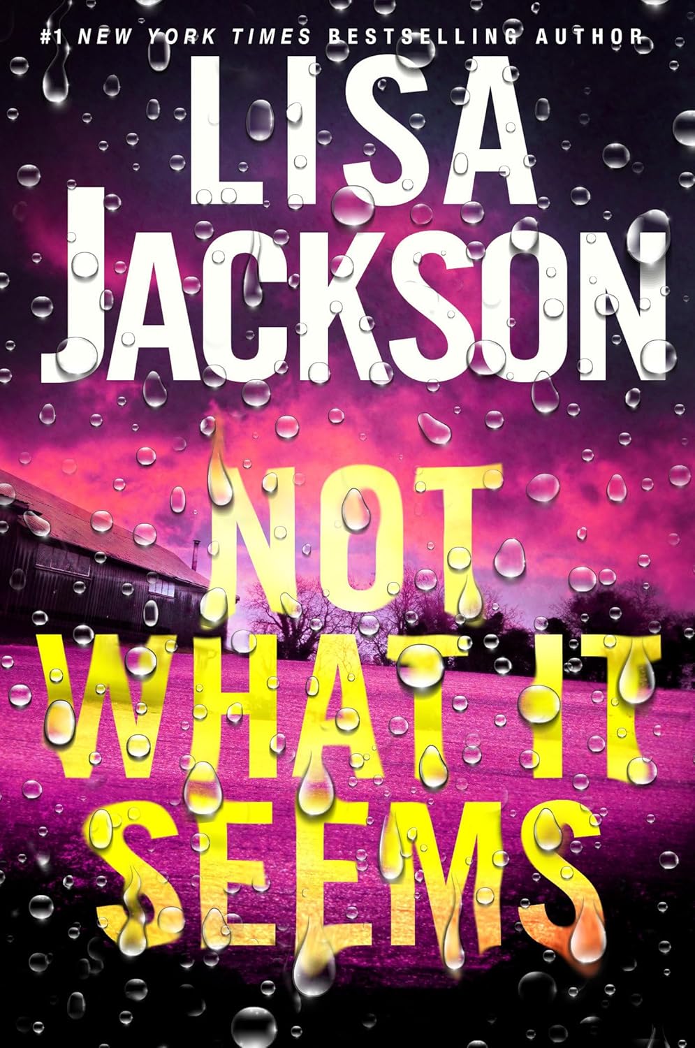 Not What It Seems (Hardcover) Lisa Jackson
