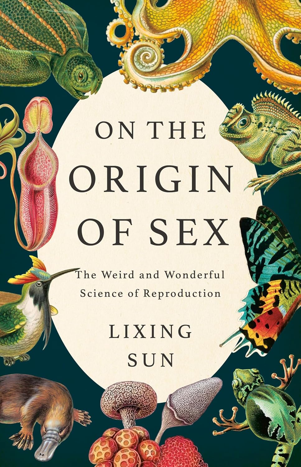 On The Origin Of Sex (Hardcover) by Lixing Sun