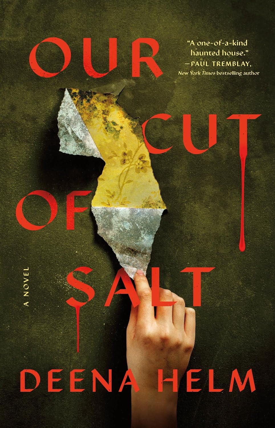 Our Cut of Salt (Hardcover) by Deena Helm