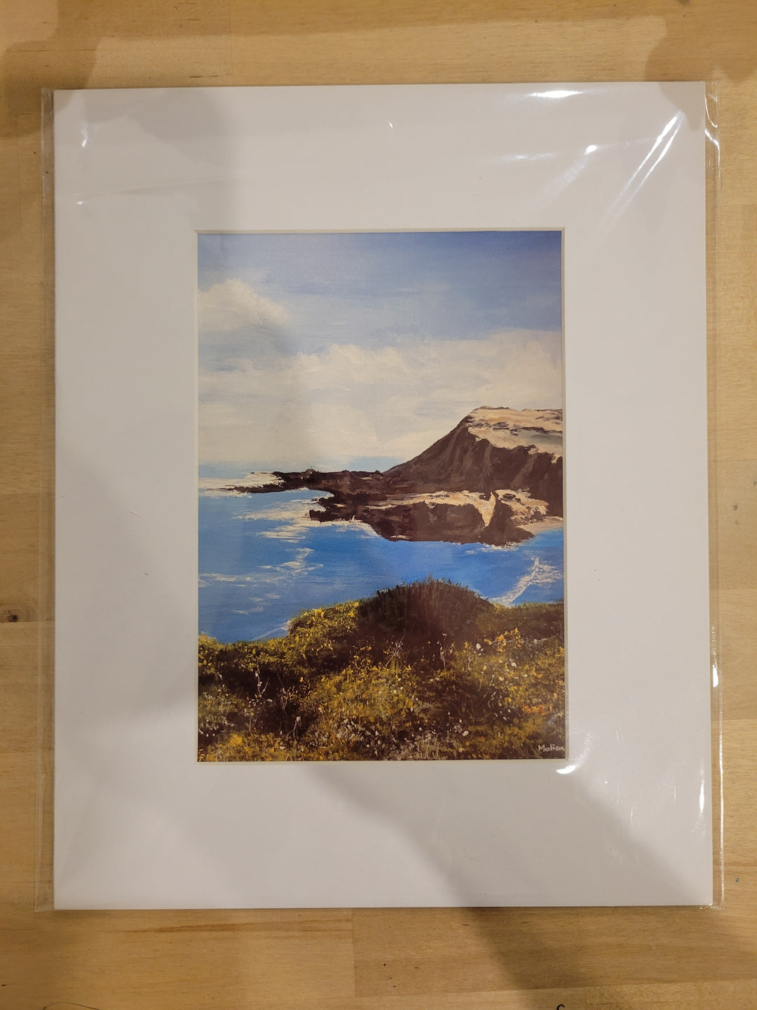 Art Prints by Pat Modica