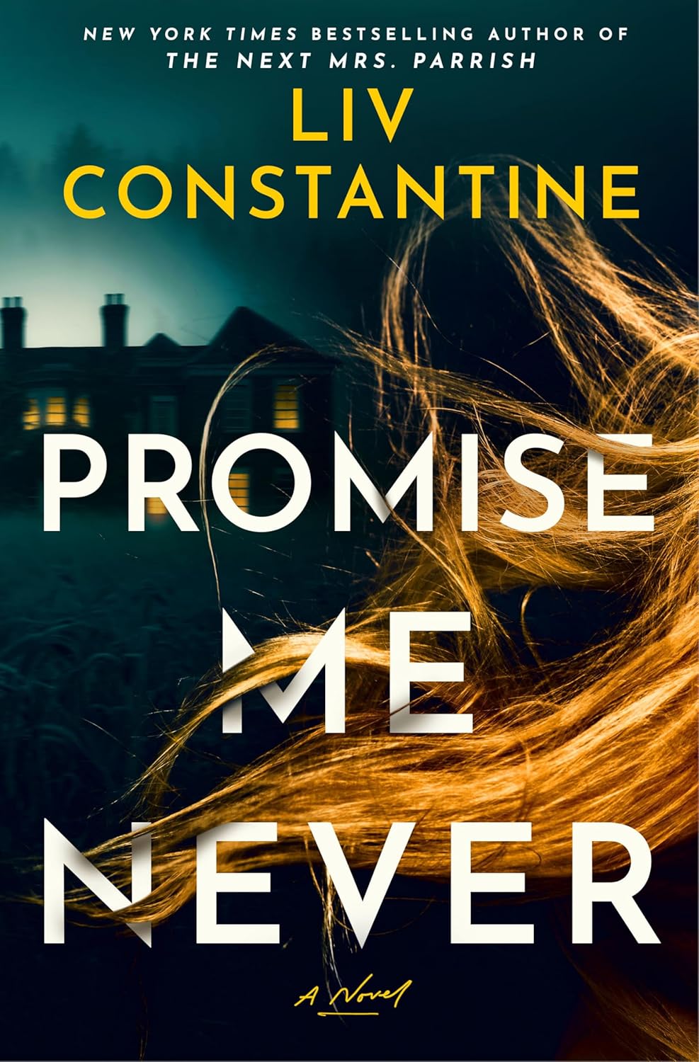 Promise Me Never (Hardcover) by Liv Constantine
