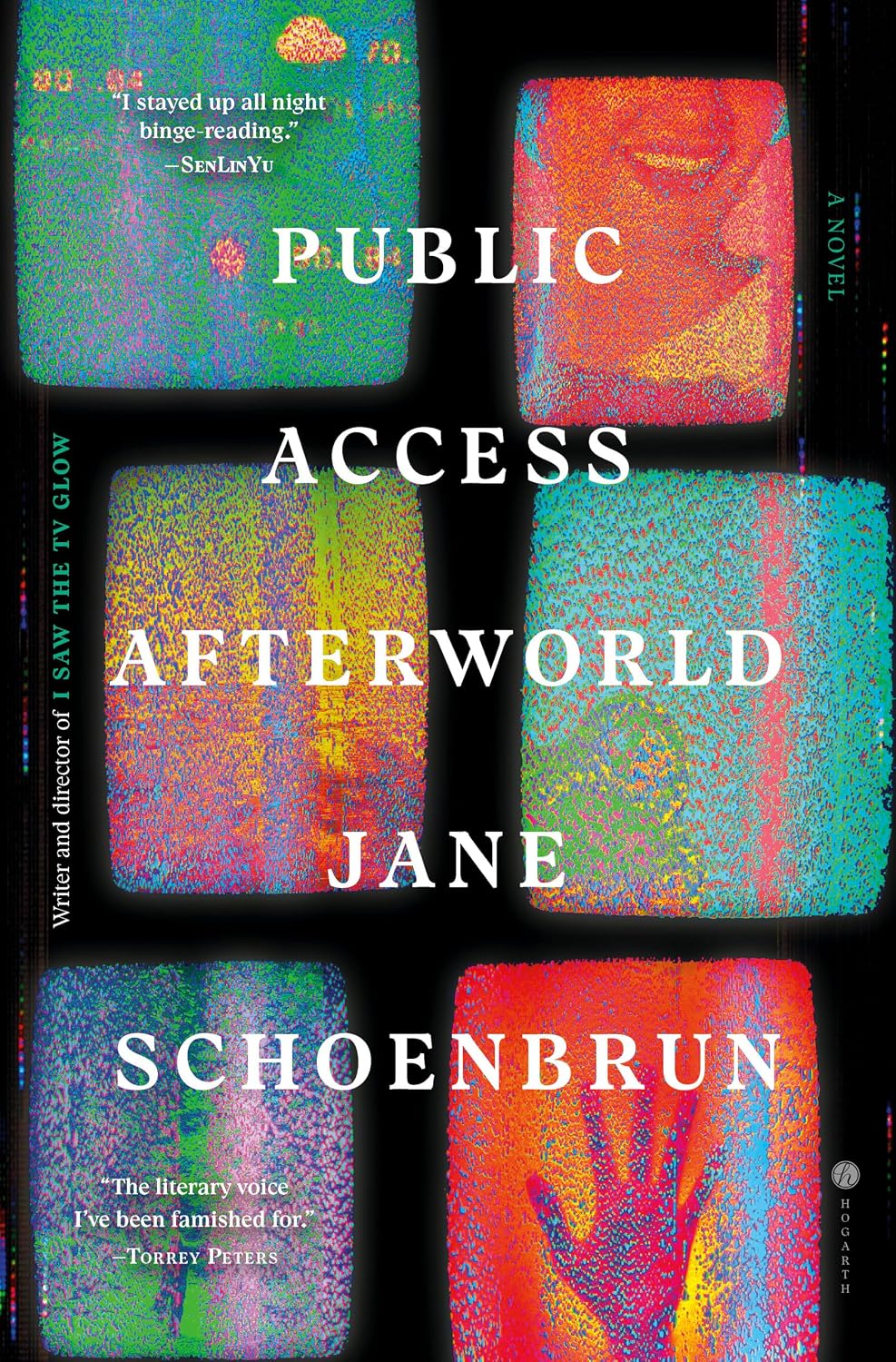 Public Access Afterworld (Hardcover) by Jane Schoenbrun
