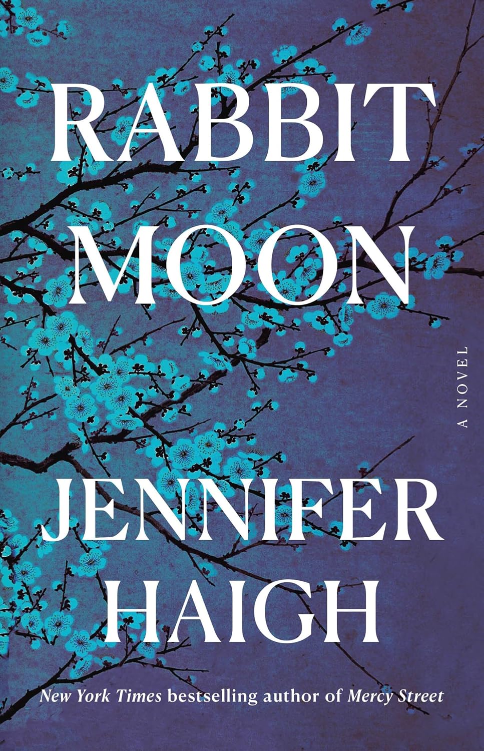 Rabbit Moon by Jennifer Haigh